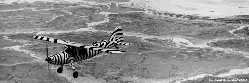 Mit der D-ENTE über der Serengeti - Foto: Bernhard Grzimek, Okapia