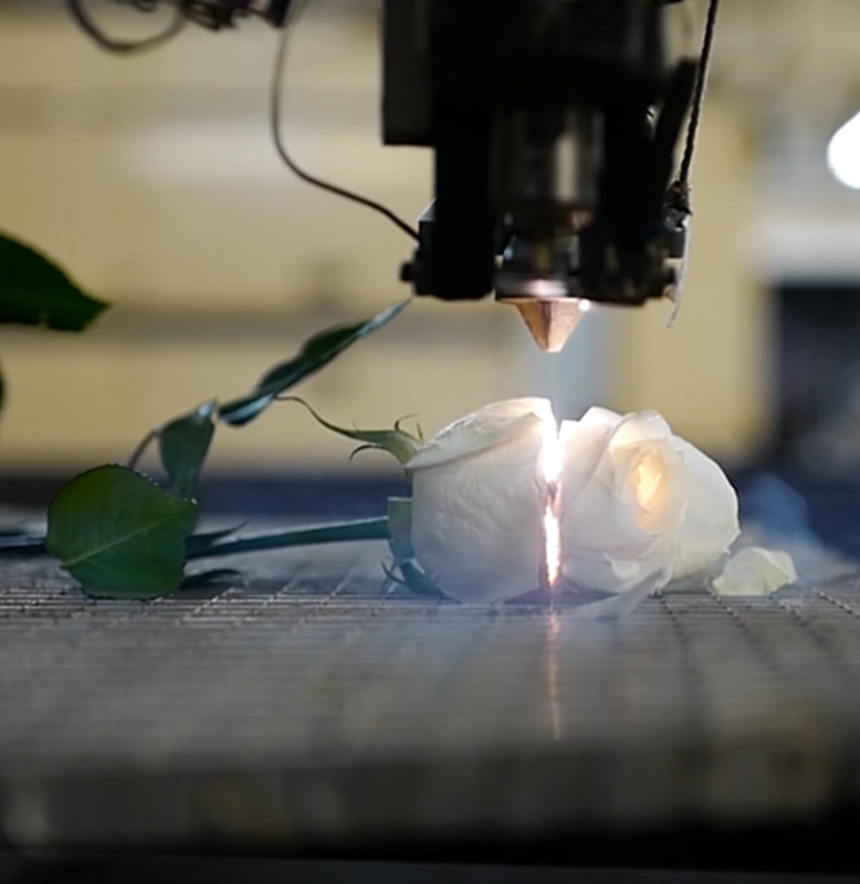 Szene aus dem Behind the Scenes: der feine Laser schneidet die Blüten, ohne sie zu verbrennen.