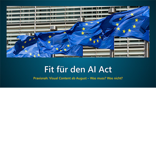 Web-Session: Fit für den AI Act